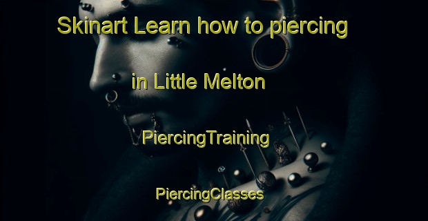 Skinart Learn how to piercing in Little Melton | PiercingTraining | PiercingClasses | SkinartTraining-United Kingdom