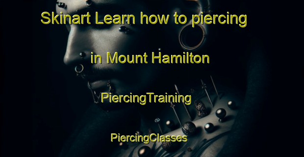 Skinart Learn how to piercing in Mount Hamilton | PiercingTraining | PiercingClasses | SkinartTraining-United Kingdom