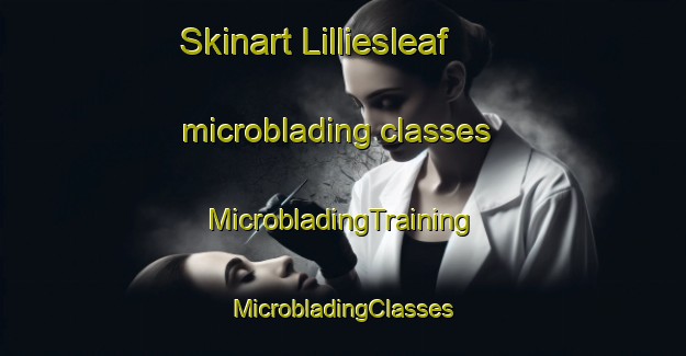 Skinart Lilliesleaf microblading classes | #MicrobladingTraining #MicrobladingClasses #SkinartTraining-United Kingdom