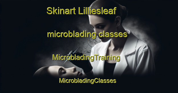 Skinart Lilliesleaf microblading classes | MicrobladingTraining | MicrobladingClasses | SkinartTraining-United Kingdom