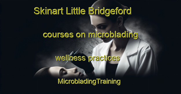 Skinart Little Bridgeford courses on microblading wellness practices | #MicrobladingTraining #MicrobladingClasses #SkinartTraining-United Kingdom