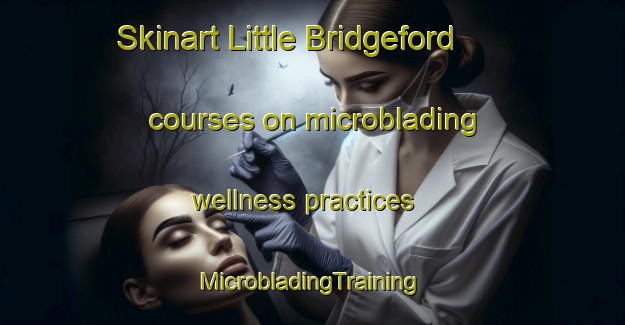 Skinart Little Bridgeford courses on microblading wellness practices | #MicrobladingTraining #MicrobladingClasses #SkinartTraining-United Kingdom