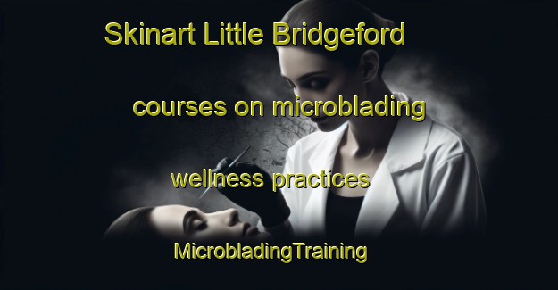 Skinart Little Bridgeford courses on microblading wellness practices | MicrobladingTraining | MicrobladingClasses | SkinartTraining-United Kingdom