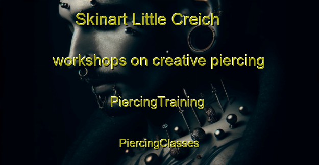 Skinart Little Creich workshops on creative piercing | #PiercingTraining #PiercingClasses #SkinartTraining-United Kingdom