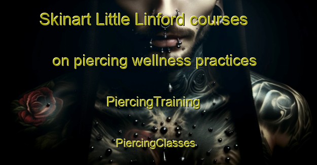 Skinart Little Linford courses on piercing wellness practices | PiercingTraining | PiercingClasses | SkinartTraining-United Kingdom