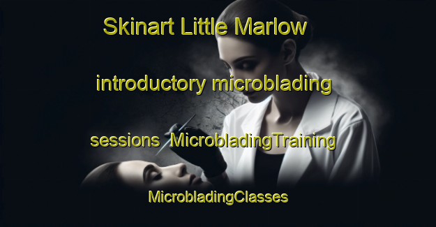 Skinart Little Marlow introductory microblading sessions | #MicrobladingTraining #MicrobladingClasses #SkinartTraining-United Kingdom