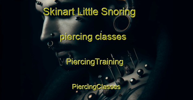 Skinart Little Snoring piercing classes | #PiercingTraining #PiercingClasses #SkinartTraining-United Kingdom