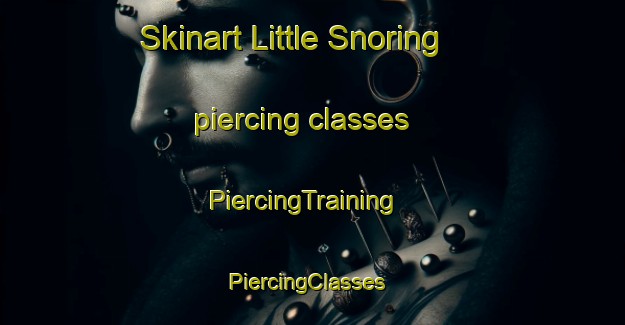 Skinart Little Snoring piercing classes | PiercingTraining | PiercingClasses | SkinartTraining-United Kingdom