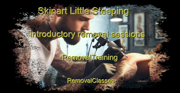 Skinart Little Steeping introductory removal sessions | RemovalTraining | RemovalClasses | SkinartTraining-United Kingdom