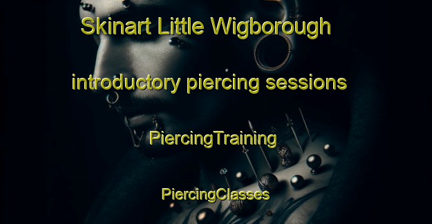 Skinart Little Wigborough introductory piercing sessions | #PiercingTraining #PiercingClasses #SkinartTraining-United Kingdom