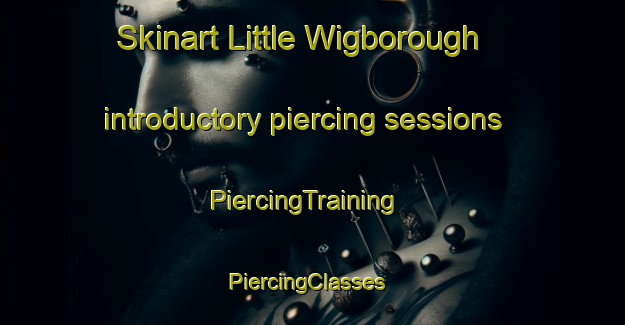 Skinart Little Wigborough introductory piercing sessions | PiercingTraining | PiercingClasses | SkinartTraining-United Kingdom