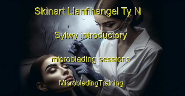 Skinart Llanfihangel Ty N Sylwy introductory microblading sessions | #MicrobladingTraining #MicrobladingClasses #SkinartTraining-United Kingdom