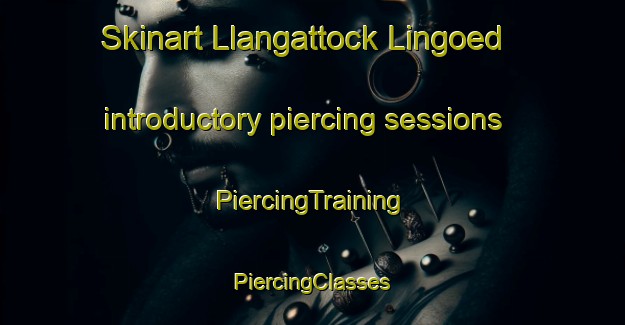 Skinart Llangattock Lingoed introductory piercing sessions | #PiercingTraining #PiercingClasses #SkinartTraining-United Kingdom