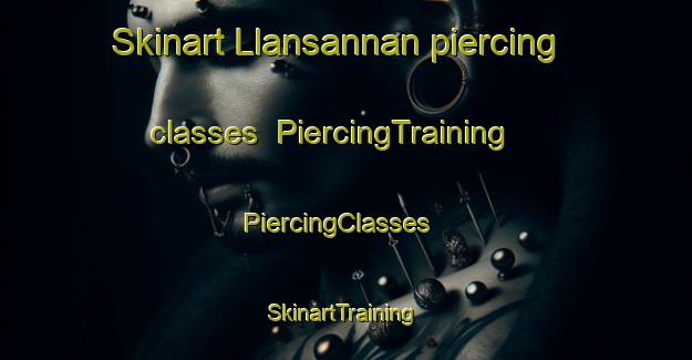 Skinart Llansannan piercing classes | PiercingTraining | PiercingClasses | SkinartTraining-United Kingdom