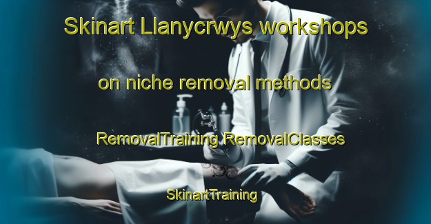 Skinart Llanycrwys workshops on niche removal methods | #RemovalTraining #RemovalClasses #SkinartTraining-United Kingdom