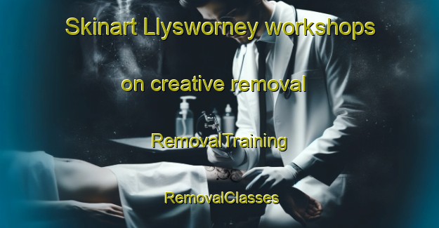 Skinart Llysworney workshops on creative removal | RemovalTraining | RemovalClasses | SkinartTraining-United Kingdom