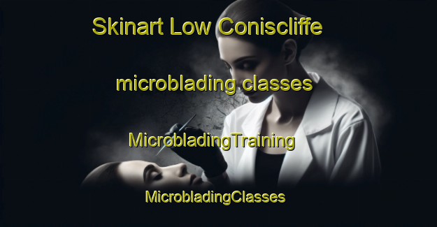 Skinart Low Coniscliffe microblading classes | MicrobladingTraining | MicrobladingClasses | SkinartTraining-United Kingdom
