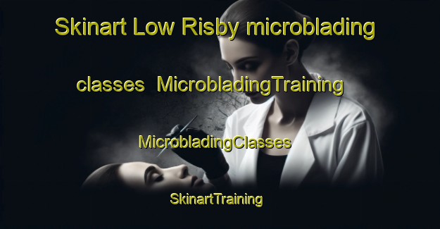 Skinart Low Risby microblading classes | MicrobladingTraining | MicrobladingClasses | SkinartTraining-United Kingdom