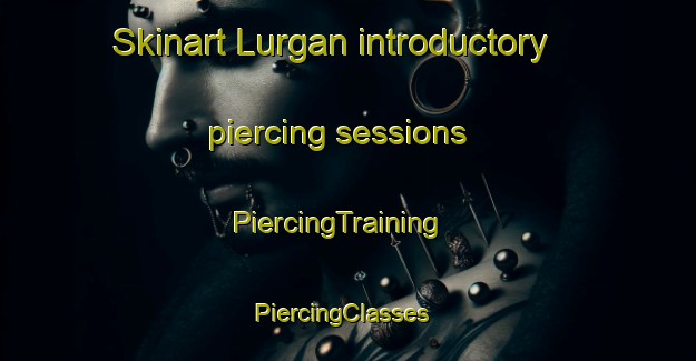 Skinart Lurgan introductory piercing sessions | PiercingTraining | PiercingClasses | SkinartTraining-United Kingdom