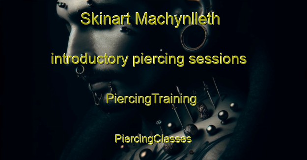 Skinart Machynlleth introductory piercing sessions | #PiercingTraining #PiercingClasses #SkinartTraining-United Kingdom