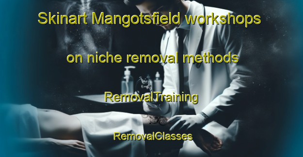 Skinart Mangotsfield workshops on niche removal methods | RemovalTraining | RemovalClasses | SkinartTraining-United Kingdom