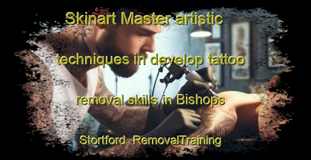 Skinart Master artistic techniques in develop tattoo removal skills in Bishops Stortford | RemovalTraining | RemovalClasses | SkinartTraining-United Kingdom