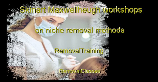 Skinart Maxwellheugh workshops on niche removal methods | RemovalTraining | RemovalClasses | SkinartTraining-United Kingdom