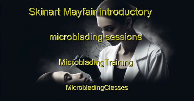 Skinart Mayfair introductory microblading sessions | #MicrobladingTraining #MicrobladingClasses #SkinartTraining-United Kingdom