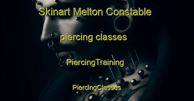 Skinart Melton Constable piercing classes | #PiercingTraining #PiercingClasses #SkinartTraining-United Kingdom