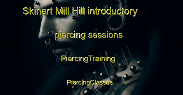 Skinart Mill Hill introductory piercing sessions | PiercingTraining | PiercingClasses | SkinartTraining-United Kingdom
