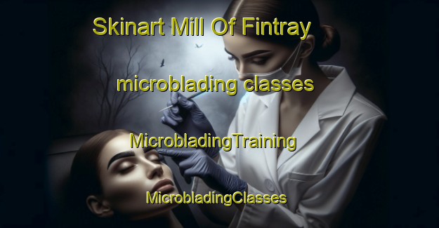 Skinart Mill Of Fintray microblading classes | MicrobladingTraining | MicrobladingClasses | SkinartTraining-United Kingdom