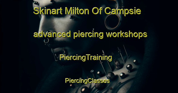 Skinart Milton Of Campsie advanced piercing workshops | PiercingTraining | PiercingClasses | SkinartTraining-United Kingdom