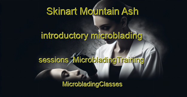 Skinart Mountain Ash introductory microblading sessions | MicrobladingTraining | MicrobladingClasses | SkinartTraining-United Kingdom
