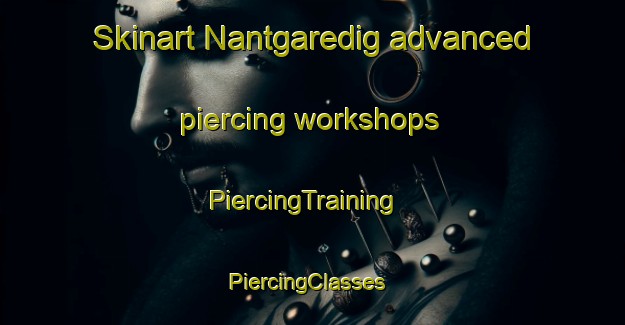 Skinart Nantgaredig advanced piercing workshops | PiercingTraining | PiercingClasses | SkinartTraining-United Kingdom