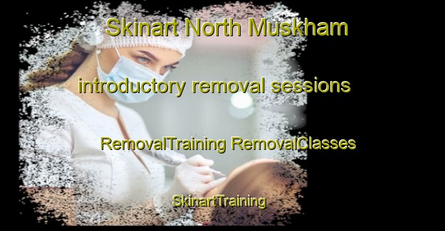 Skinart North Muskham introductory removal sessions | #RemovalTraining #RemovalClasses #SkinartTraining-United Kingdom