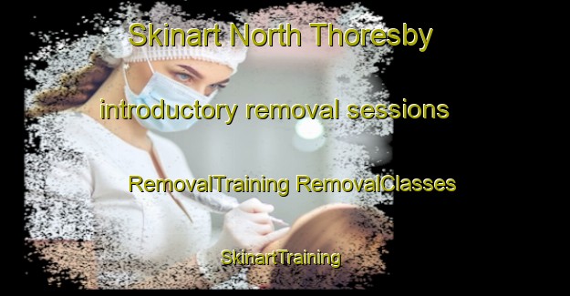 Skinart North Thoresby introductory removal sessions | #RemovalTraining #RemovalClasses #SkinartTraining-United Kingdom