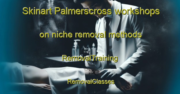 Skinart Palmerscross workshops on niche removal methods | RemovalTraining | RemovalClasses | SkinartTraining-United Kingdom