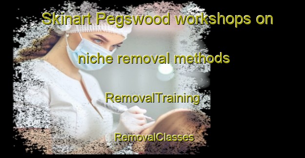 Skinart Pegswood workshops on niche removal methods | RemovalTraining | RemovalClasses | SkinartTraining-United Kingdom