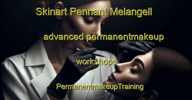 Skinart Pennant Melangell advanced permanentmakeup workshops | #PermanentmakeupTraining #PermanentmakeupClasses #SkinartTraining-United Kingdom