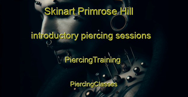 Skinart Primrose Hill introductory piercing sessions | #PiercingTraining #PiercingClasses #SkinartTraining-United Kingdom