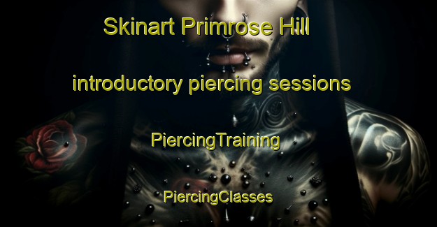 Skinart Primrose Hill introductory piercing sessions | #PiercingTraining #PiercingClasses #SkinartTraining-United Kingdom