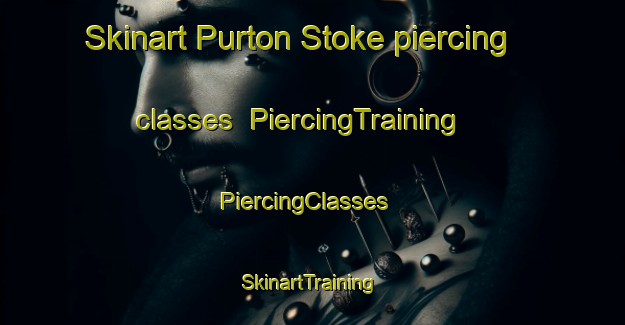 Skinart Purton Stoke piercing classes | PiercingTraining | PiercingClasses | SkinartTraining-United Kingdom