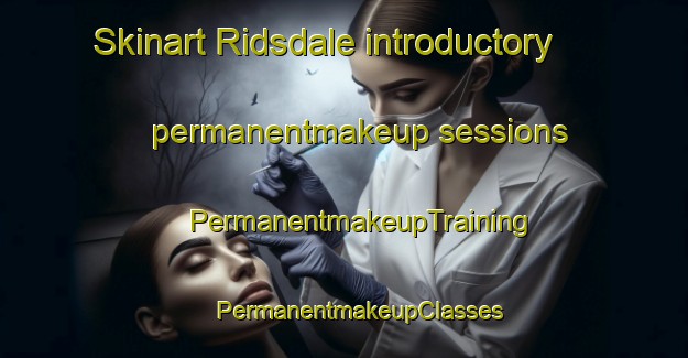 Skinart Ridsdale introductory permanentmakeup sessions | #PermanentmakeupTraining #PermanentmakeupClasses #SkinartTraining-United Kingdom