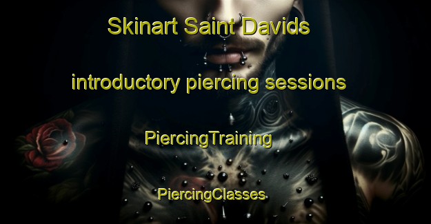 Skinart Saint Davids introductory piercing sessions | PiercingTraining | PiercingClasses | SkinartTraining-United Kingdom