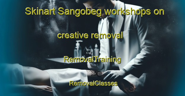 Skinart Sangobeg workshops on creative removal | RemovalTraining | RemovalClasses | SkinartTraining-United Kingdom
