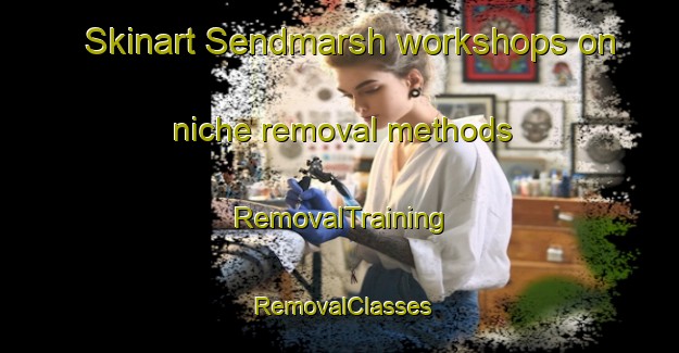 Skinart Sendmarsh workshops on niche removal methods | RemovalTraining | RemovalClasses | SkinartTraining-United Kingdom