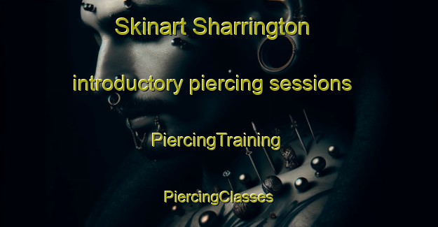 Skinart Sharrington introductory piercing sessions | #PiercingTraining #PiercingClasses #SkinartTraining-United Kingdom