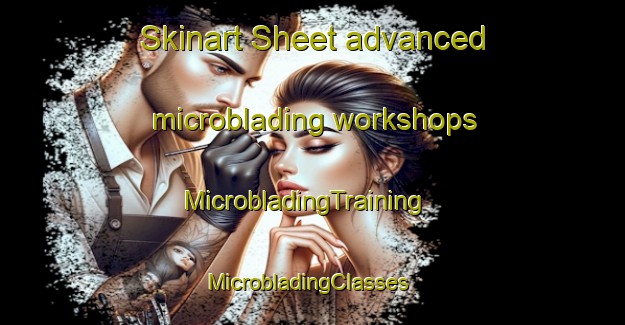Skinart Sheet advanced microblading workshops | MicrobladingTraining | MicrobladingClasses | SkinartTraining-United Kingdom