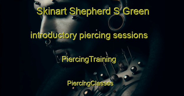 Skinart Shepherd S Green introductory piercing sessions | PiercingTraining | PiercingClasses | SkinartTraining-United Kingdom