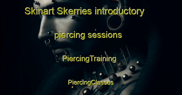 Skinart Skerries introductory piercing sessions | #PiercingTraining #PiercingClasses #SkinartTraining-United Kingdom